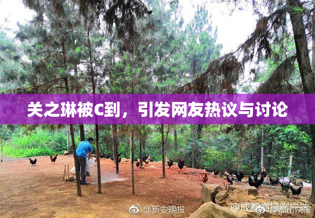 关之琳被C到，引发网友热议与讨论