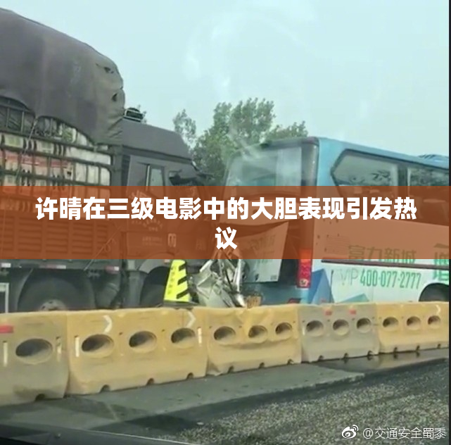 许晴在三级电影中的大胆表现引发热议