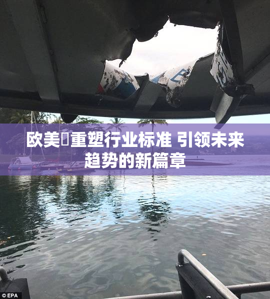 欧美巜重塑行业标准 引领未来趋势的新篇章