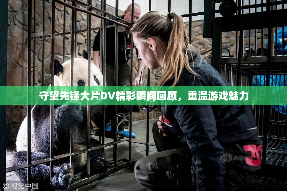 守望先锋大片DV精彩瞬间回顾，重温游戏魅力