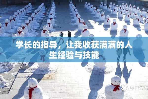 学长的指导，让我收获满满的人生经验与技能