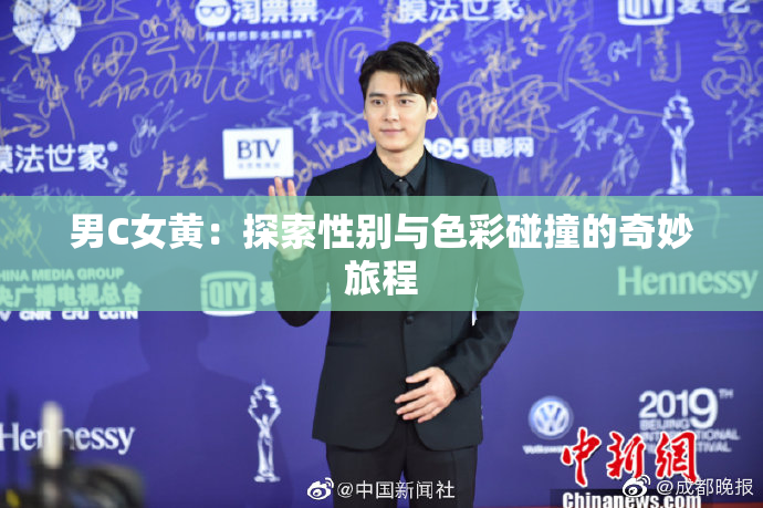 男C女黄：探索性别与色彩碰撞的奇妙旅程