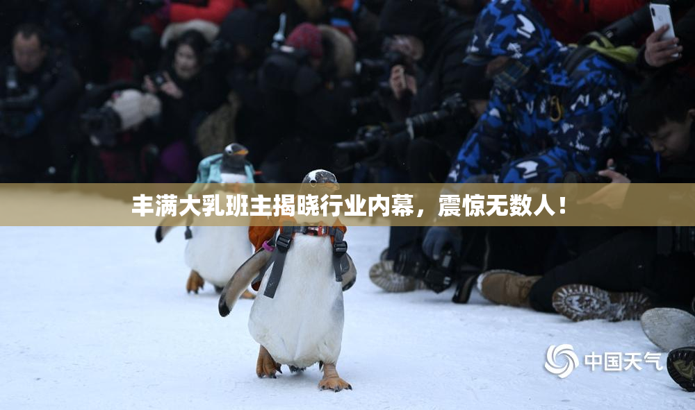丰满大乳班主揭晓行业内幕，震惊无数人！