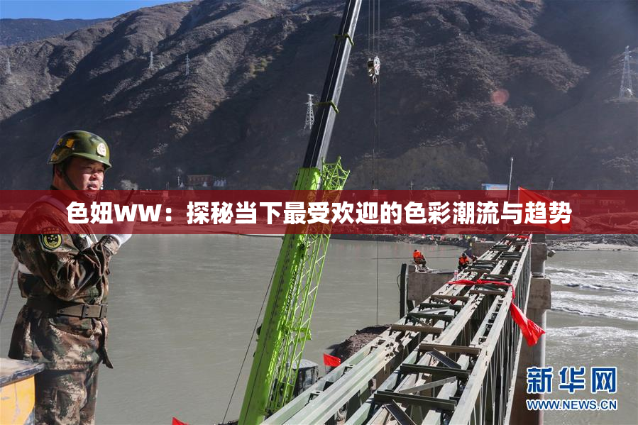 色妞WW：探秘当下最受欢迎的色彩潮流与趋势