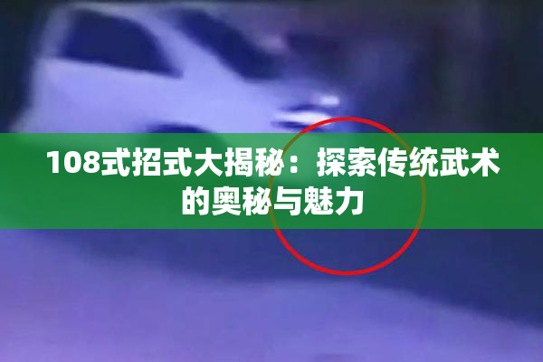 108式招式大揭秘：探索传统武术的奥秘与魅力