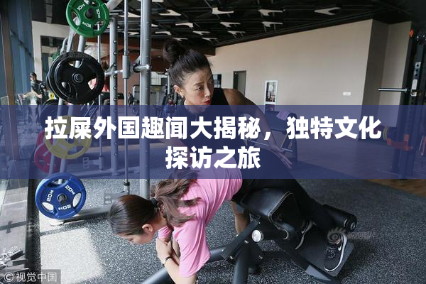 拉屎外国趣闻大揭秘，独特文化探访之旅