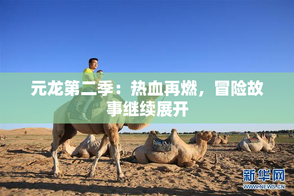 元龙第二季：热血再燃，冒险故事继续展开