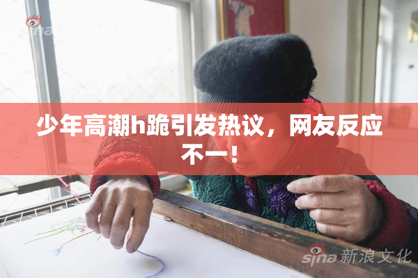 少年高潮h跪引发热议，网友反应不一！