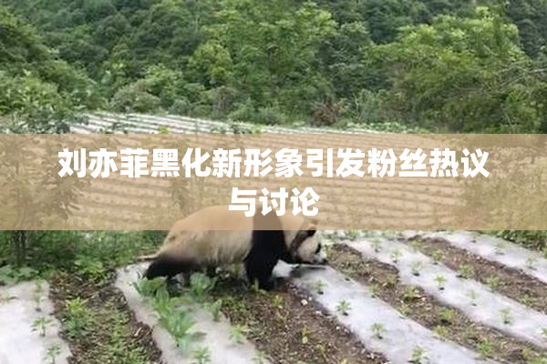 刘亦菲黑化新形象引发粉丝热议与讨论