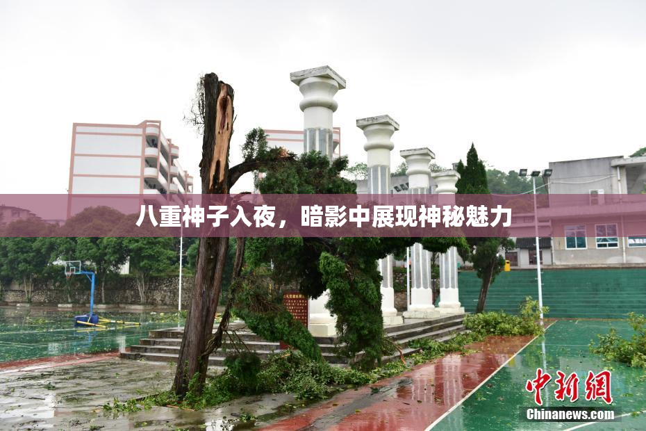 八重神子入夜，暗影中展现神秘魅力