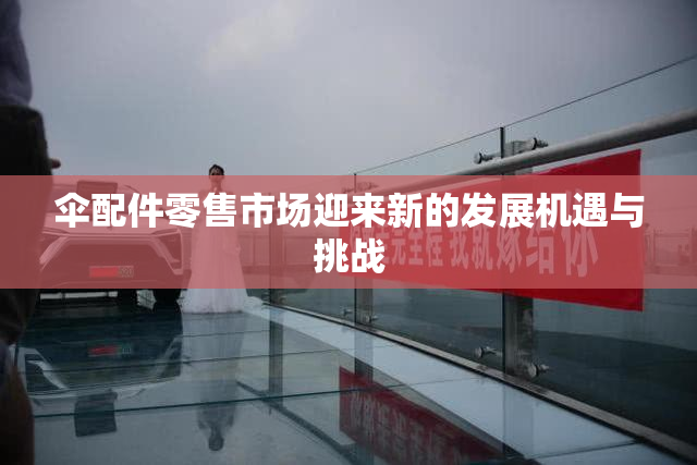 伞配件零售市场迎来新的发展机遇与挑战