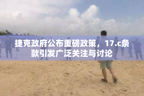 捷克政府公布重磅政策，17.c条款引发广泛关注与讨论