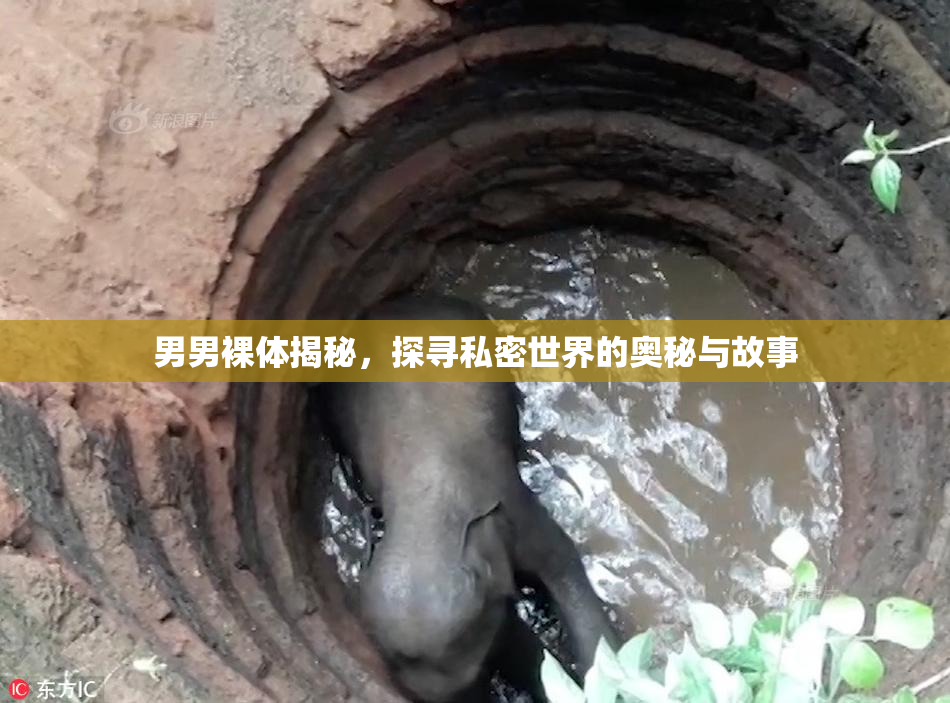 男男裸体揭秘，探寻私密世界的奥秘与故事