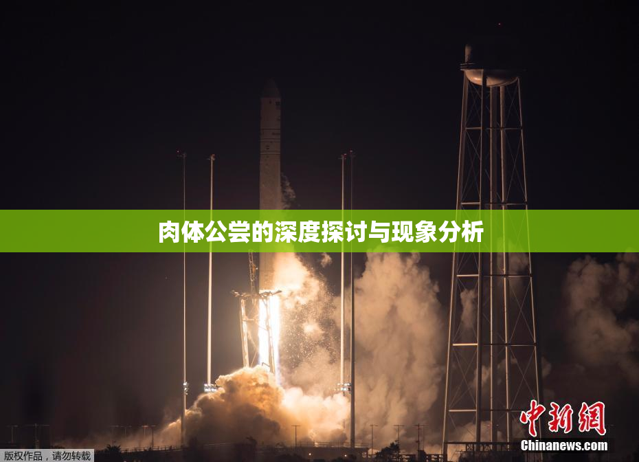 肉体公尝的深度探讨与现象分析