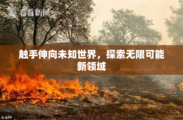 触手伸向未知世界，探索无限可能新领域