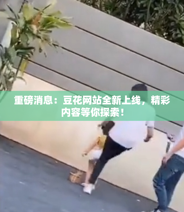 重磅消息：豆花网站全新上线，精彩内容等你探索！