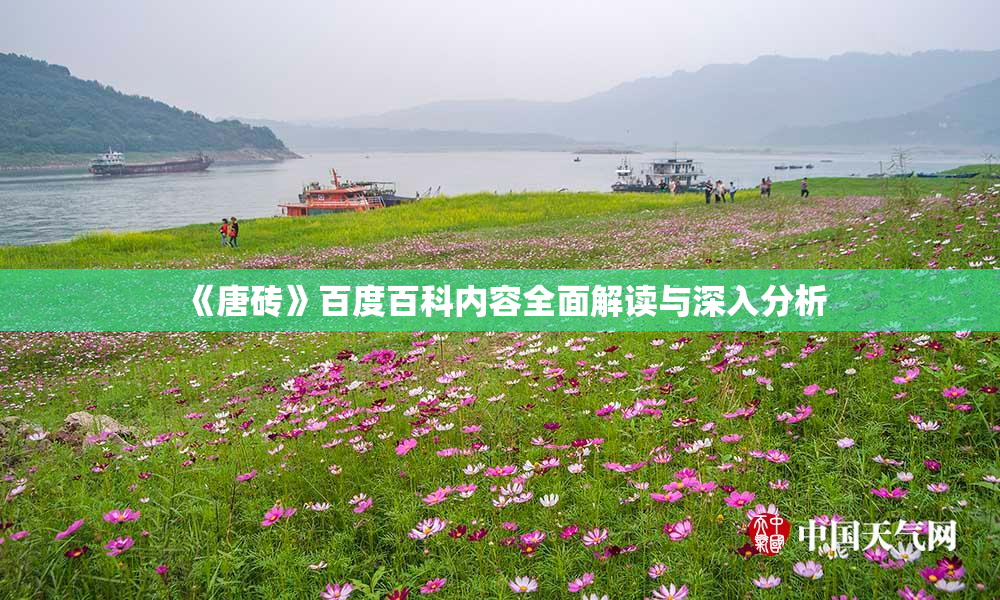 《唐砖》百度百科内容全面解读与深入分析