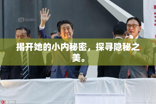揭开她的小内秘密，探寻隐秘之美。