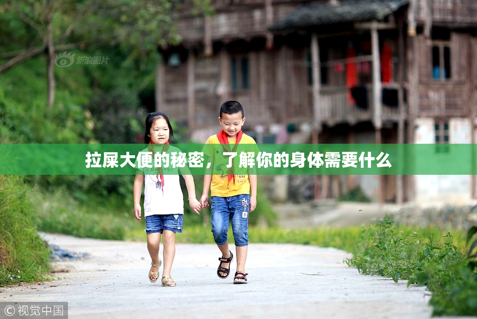 拉屎大便的秘密，了解你的身体需要什么