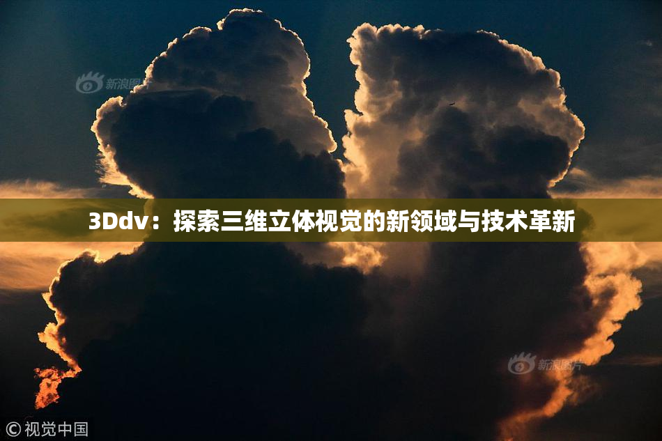 3Ddv：探索三维立体视觉的新领域与技术革新