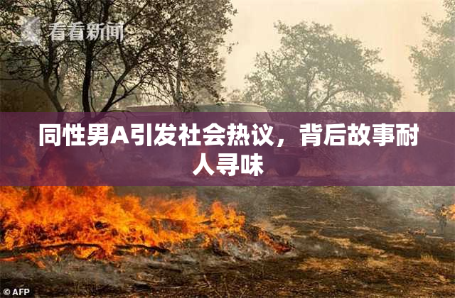 同性男A引发社会热议，背后故事耐人寻味