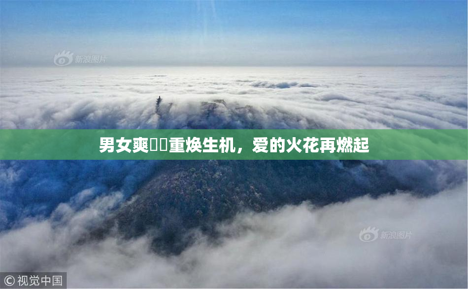 男女爽❌‌重焕生机，爱的火花再燃起