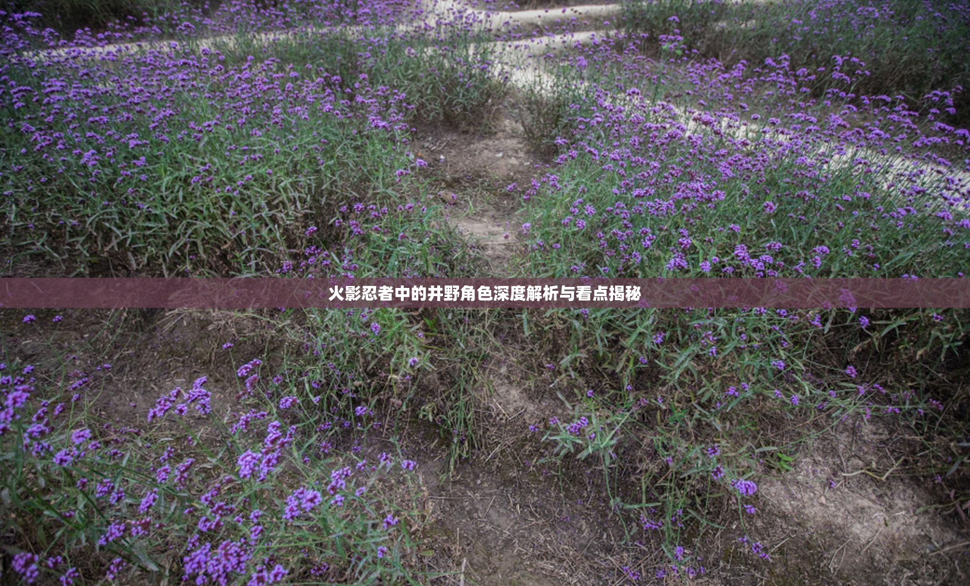 火影忍者中的井野角色深度解析与看点揭秘
