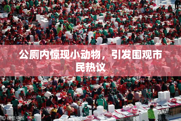 公厕内惊现小动物，引发围观市民热议