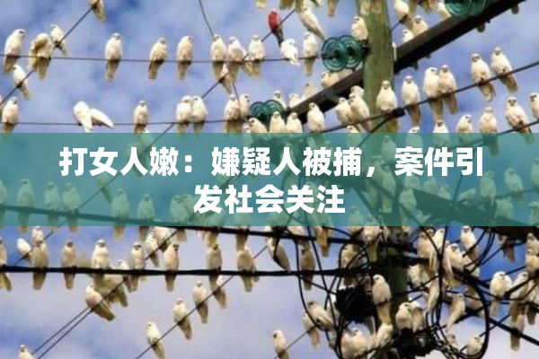 打女人嫩：嫌疑人被捕，案件引发社会关注