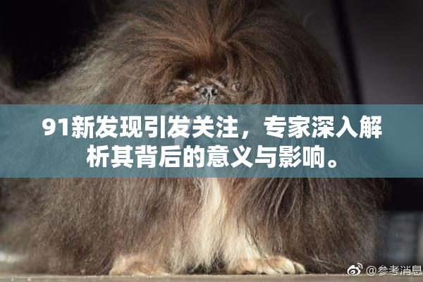 91新发现引发关注，专家深入解析其背后的意义与影响。