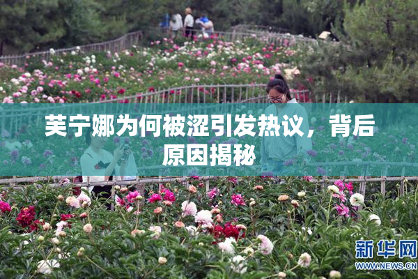 芙宁娜为何被涩引发热议，背后原因揭秘
