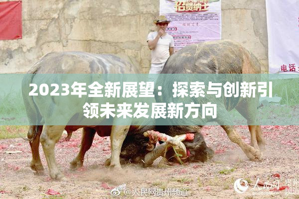 2023年全新展望：探索与创新引领未来发展新方向