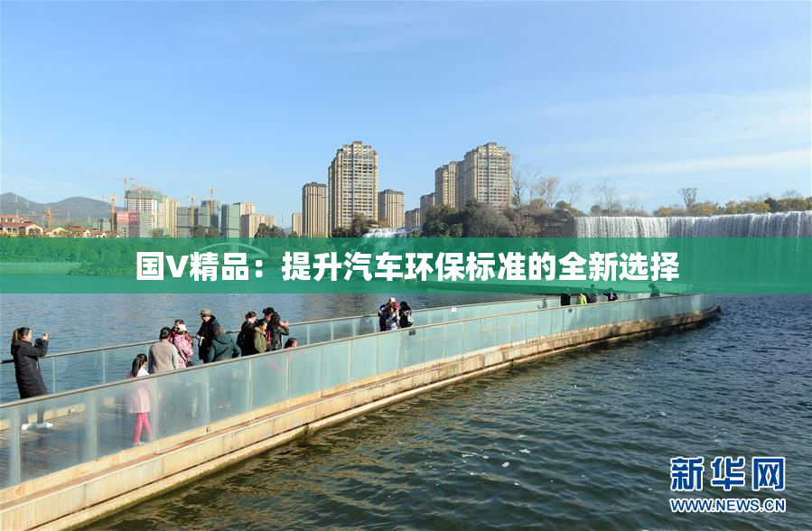 国V精品：提升汽车环保标准的全新选择