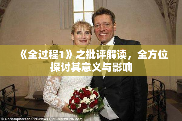 《全过程1》之批评解读，全方位探讨其意义与影响