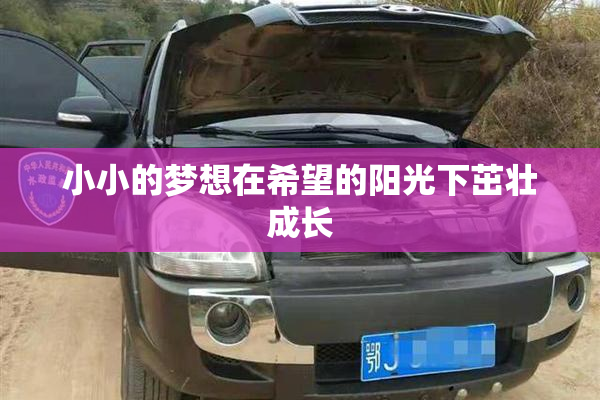 小小的梦想在希望的阳光下茁壮成长