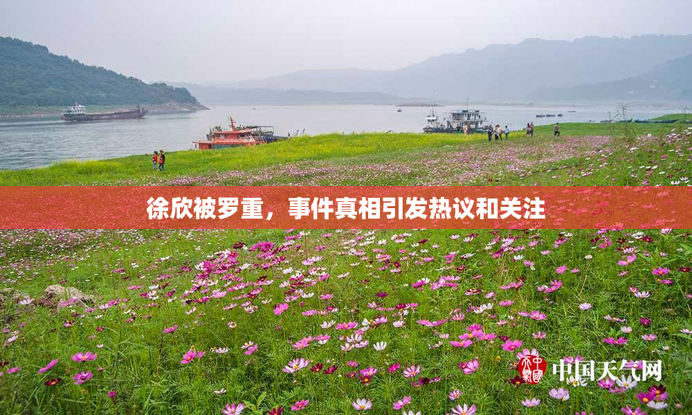 徐欣被罗重，事件真相引发热议和关注