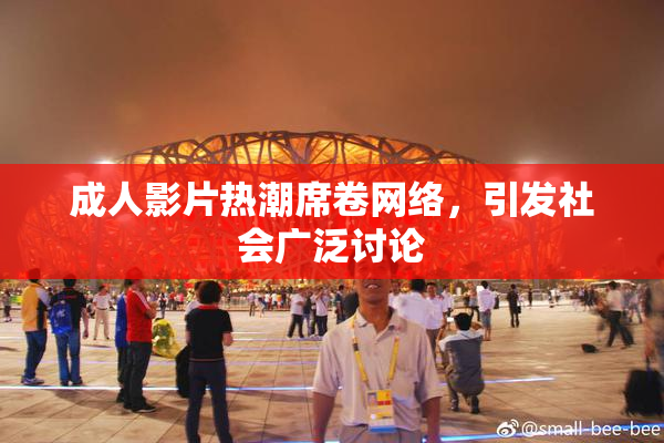 成人影片热潮席卷网络，引发社会广泛讨论