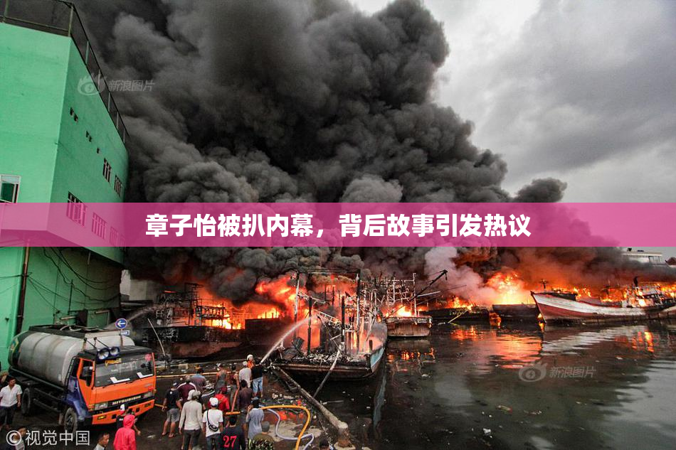 章子怡被扒内幕，背后故事引发热议