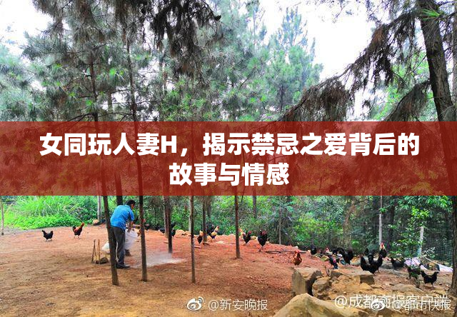 女同玩人妻H，揭示禁忌之爱背后的故事与情感