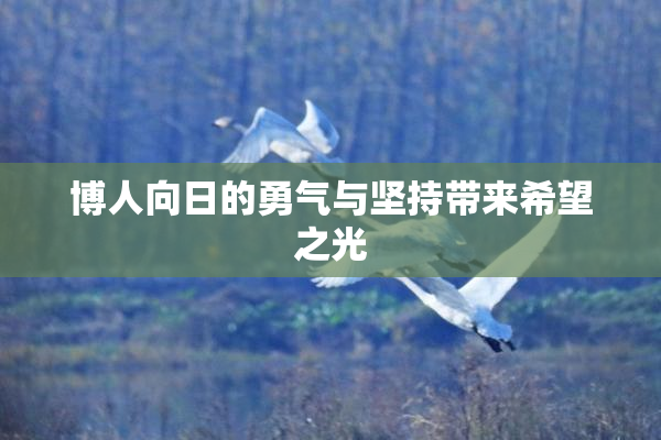 博人向日的勇气与坚持带来希望之光