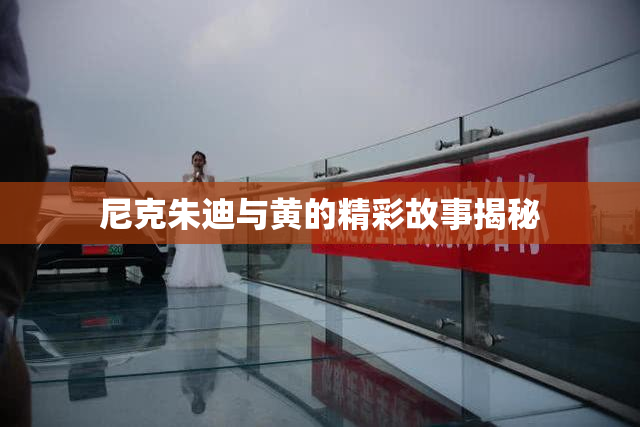 尼克朱迪与黄的精彩故事揭秘