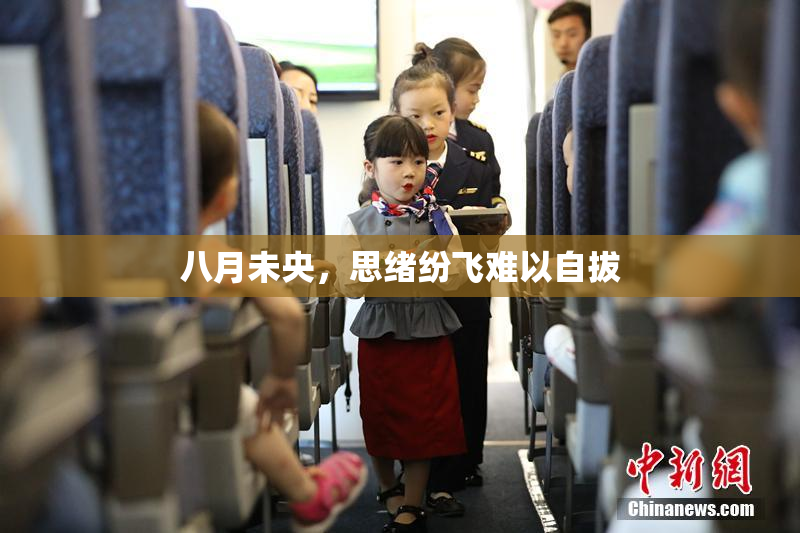 八月未央，思绪纷飞难以自拔