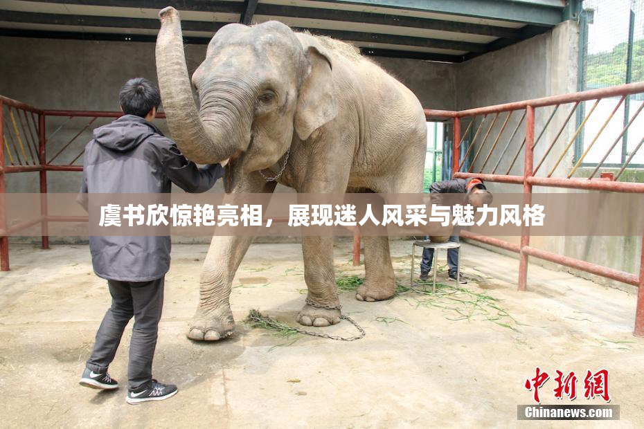 虞书欣惊艳亮相，展现迷人风采与魅力风格