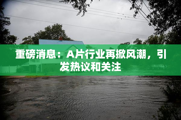 重磅消息：A片行业再掀风潮，引发热议和关注