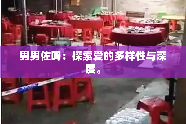 男男佐鸣：探索爱的多样性与深度。