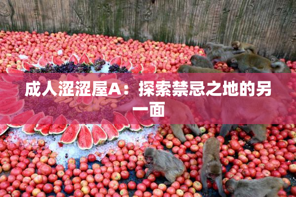 成人涩涩屋A：探索禁忌之地的另一面