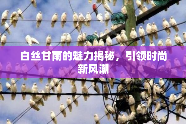 白丝甘雨的魅力揭秘，引领时尚新风潮