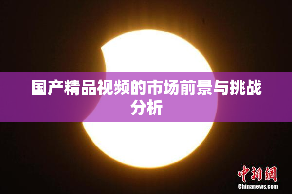 国产精品视频的市场前景与挑战分析