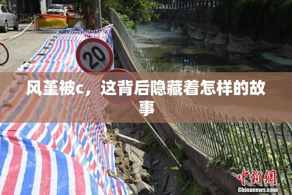 风堇被c，这背后隐藏着怎样的故事