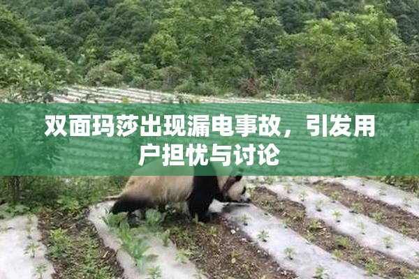 双面玛莎出现漏电事故，引发用户担忧与讨论